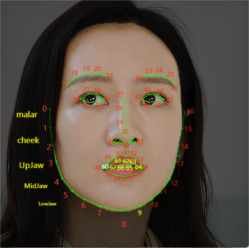 XFaceKit-特征点位置.png